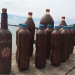 Ayahuasca Tea For Sale 