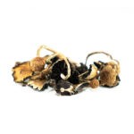 Brazil-Mushrooms.jpg