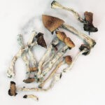 PES Hawaiian Magic Mushrooms