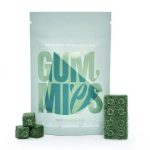 Euphoria-Psychedelics-–-Lego-Brick-Watermelon-Gummies-1000mg.jpg