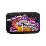 Microdose-Mushroom-Gummies-4g.jpg
