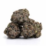 Animal-Cookies-11-1-1024×1024-1