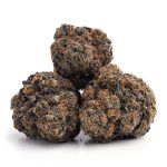 Animal-Sherbert-11-1024×1024-1