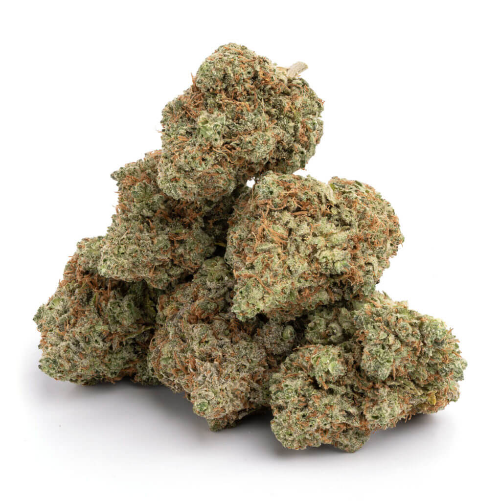 Candy-Jack-11-1024x1024-1 Candy Jack