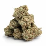 Girl-Scout-Cookies-1