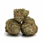 Gorilla-Glue-Strain