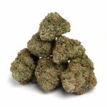 Gorilla-Glue-Strain