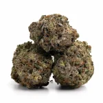 Northern-Lights-Strain