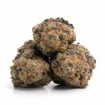 Purple-Dream-Strain