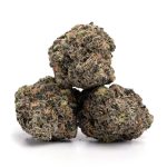 Purple-Tangie-Strain