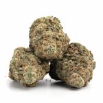 Rainbow-Pie-Strain