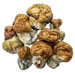 dido-eggs-shrooms-0112-e1705098694105